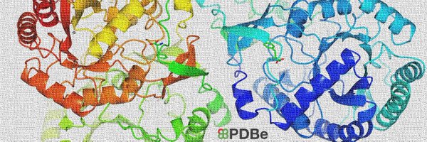 Protein Data Bank Profile Banner