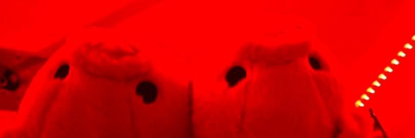 nastydessy🤪🤤 banner