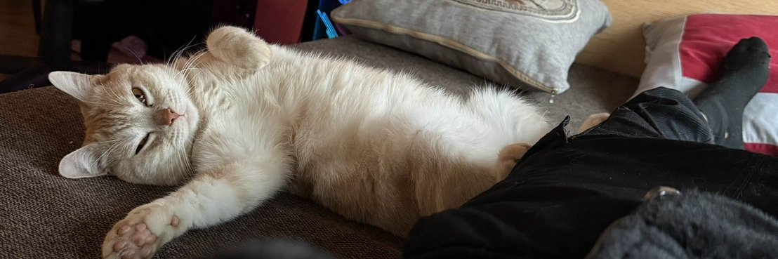 watsonrrr's profile banner image
