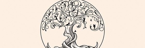 netspagett's profile banner image