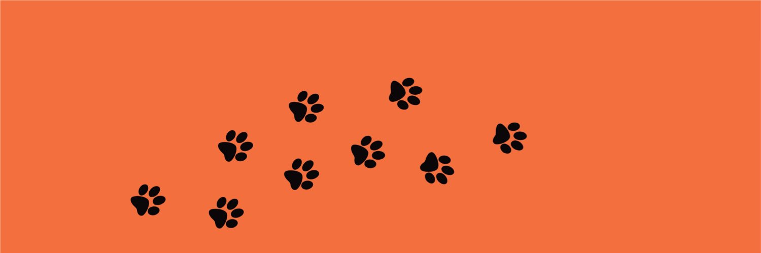 (•˕ •マ.ᐟ banner