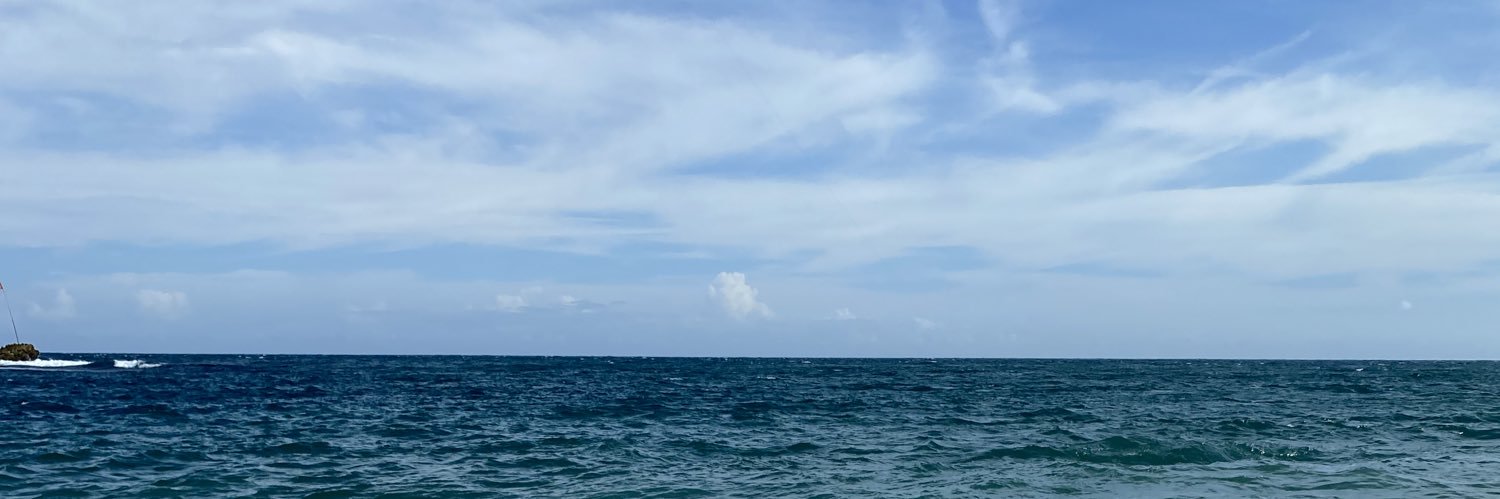 🌻 banner