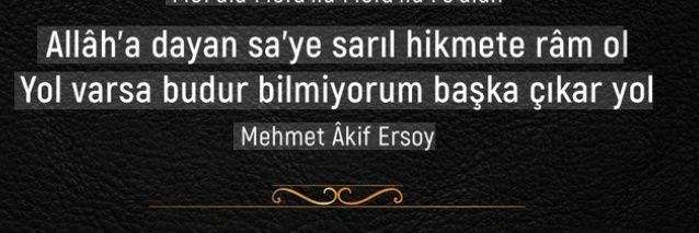 Ali Asım banner
