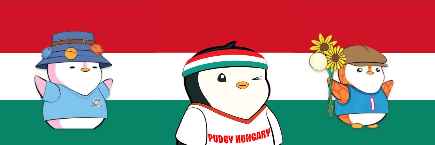 PudgyHUN's profile banner image