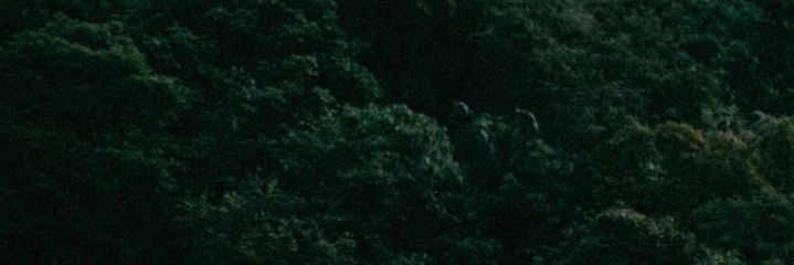 I fall, I stand banner