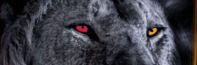 fabrizoyavas's profile banner image