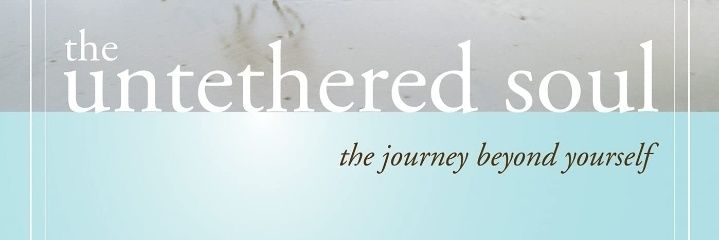 Michael Singer Quotes banner