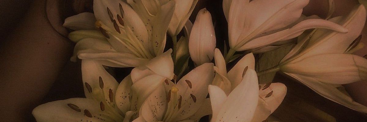 LA banner