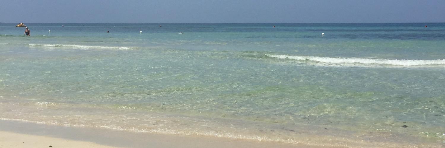 Monica Indennitate banner