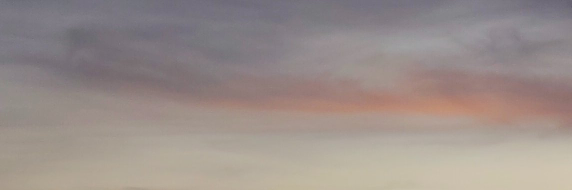 番茄肉饼 banner