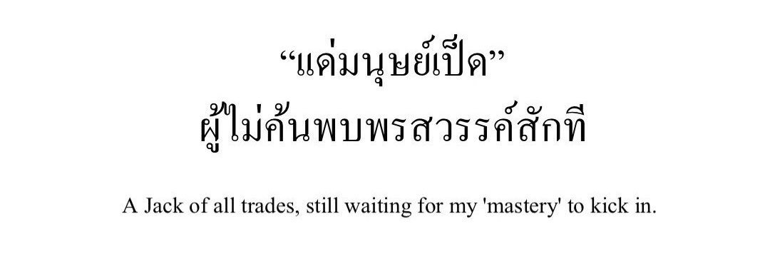 เจ้าเป็ดน้อย banner
