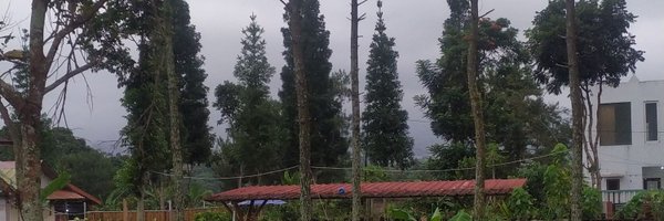 lestarieva01 Profile Banner