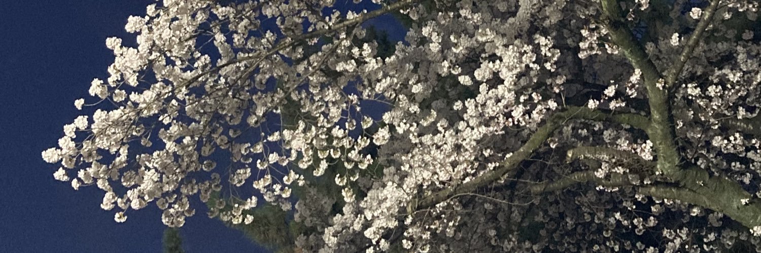 霧濃 banner