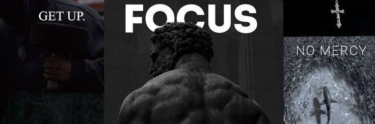 Priëxt🏦📊 banner