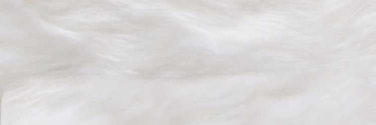 𝑺︎︎︎︎⭐︎ banner