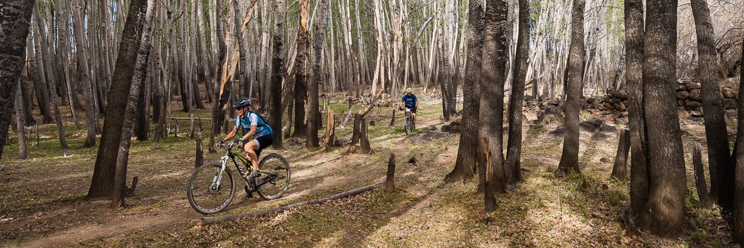 RideTheKaroo banner