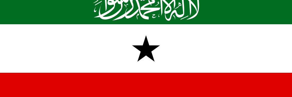 SLDO - المرصد الرقمي لصوماليلاند banner