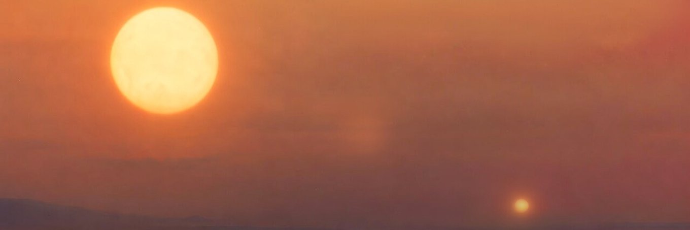 fyfy banner