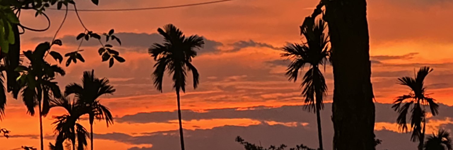 Jess banner