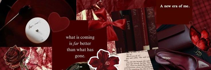 Ꮪꭲꭼꮮꮮꭺ Ꮇꭺꭱꮖꮪ 🐦‍🔥🌹 banner