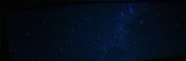 EocStorm57785's profile banner image