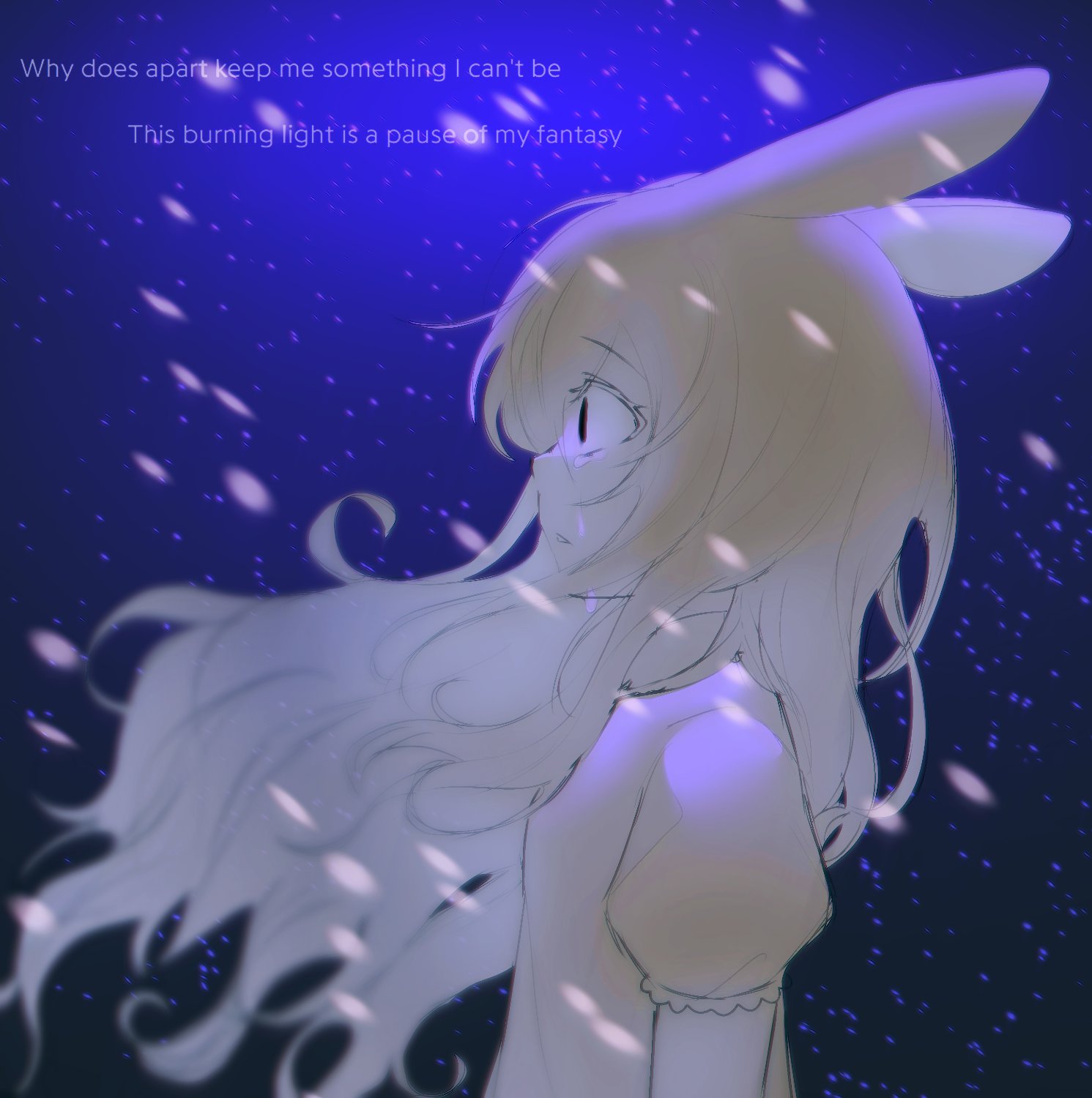 snow❄ banner