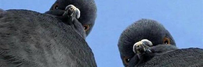 hato0920's profile banner image