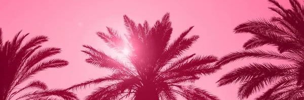 ana anjinha🪽 banner