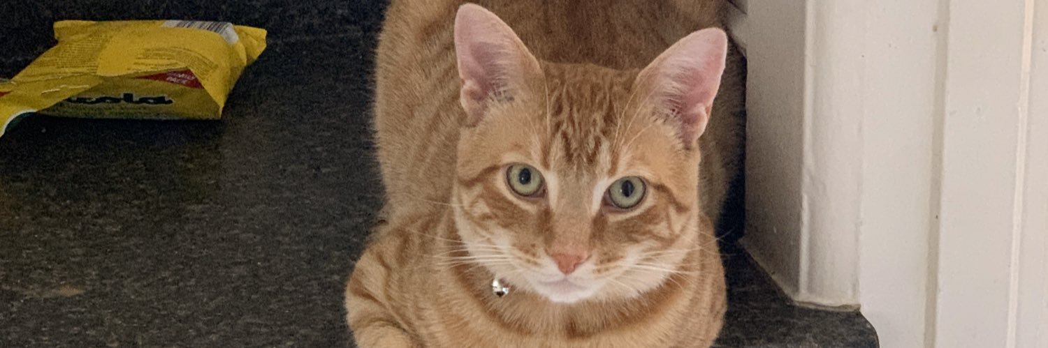 briiitttt3's profile banner image