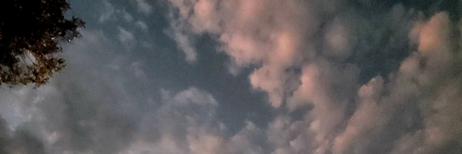RolineHaine's profile banner image