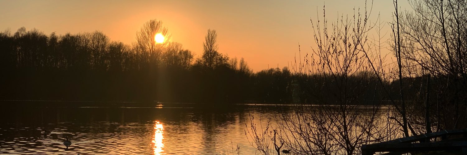 Natalie Marchant banner