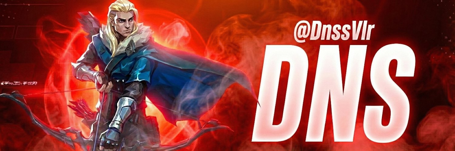 DNS banner