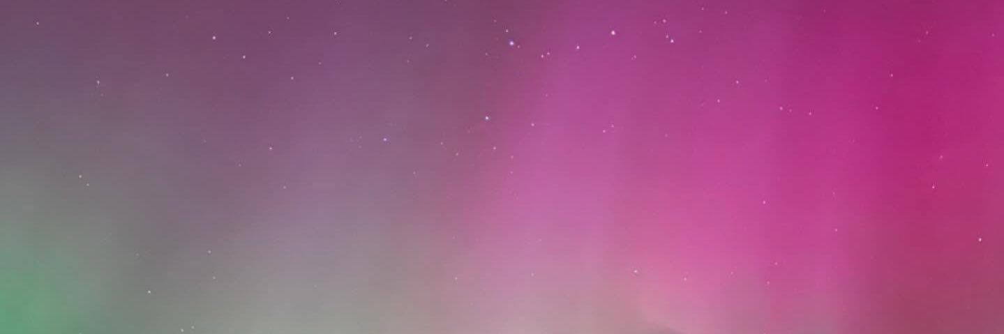 DeDuck banner