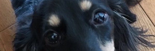 mytat8956 Profile Banner