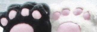 YAQoo.. banner
