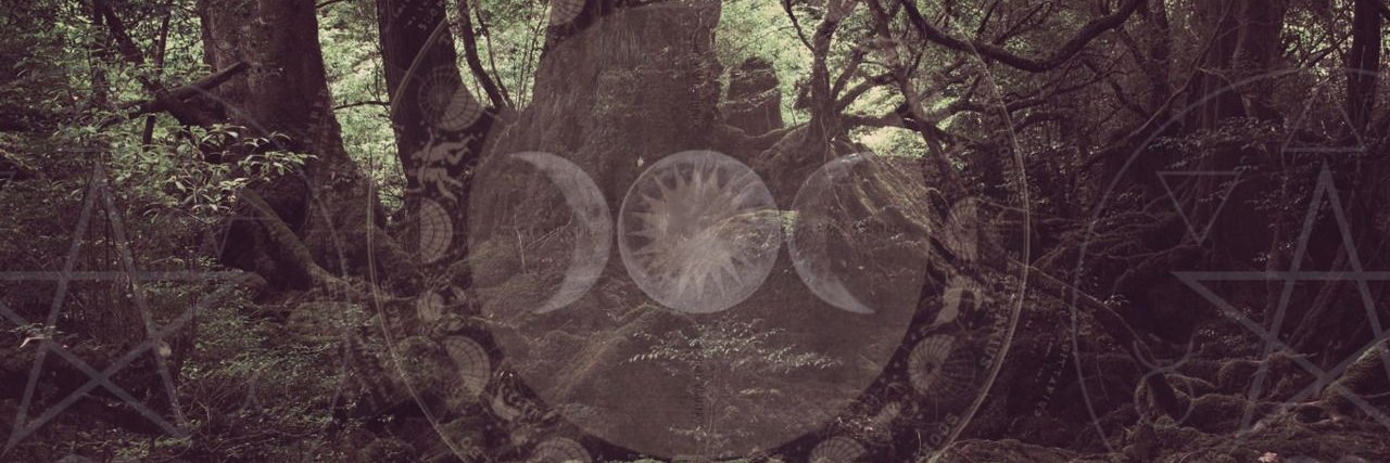 janey_roo's profile banner image