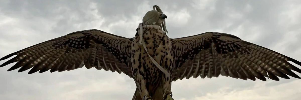 رهـا | 23 banner