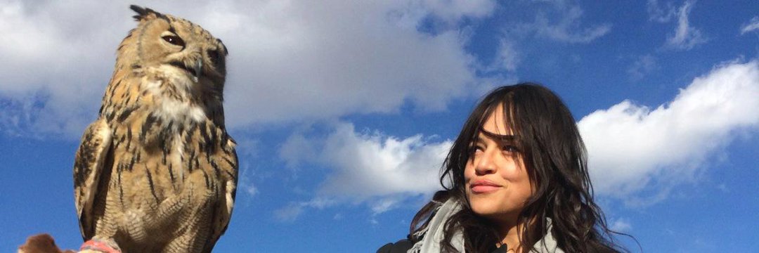 Michelle Rodriguez banner