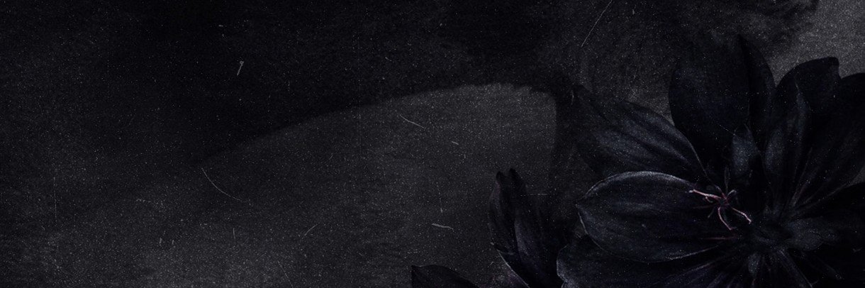 hu63211's profile banner image