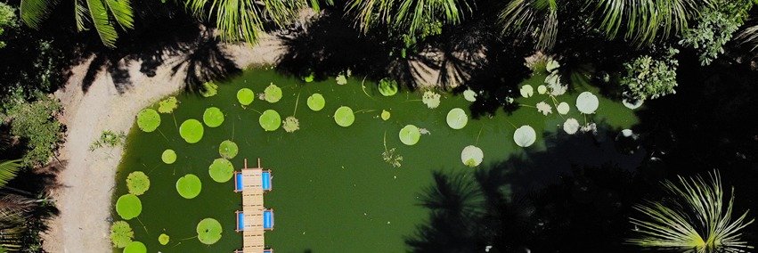 Museu da Amazônia banner