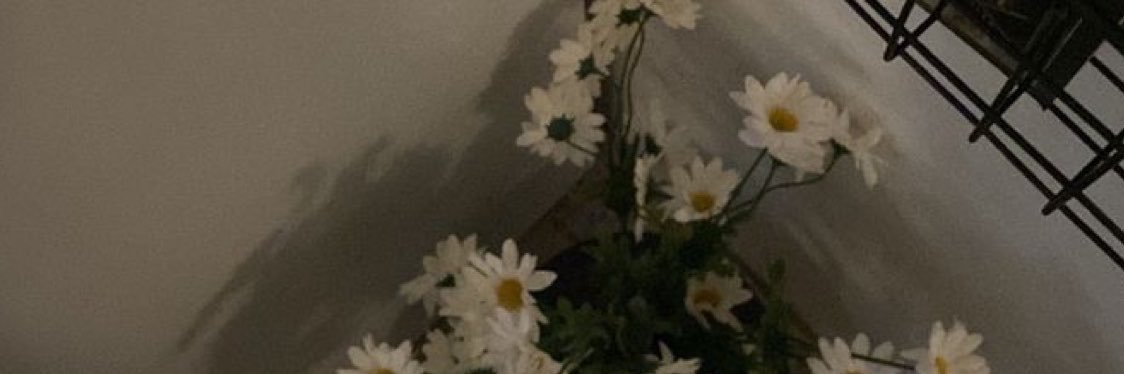 __zooq's profile banner image