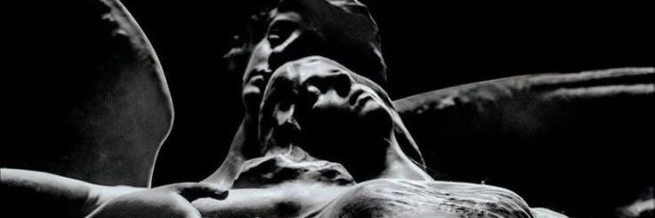 𝗡𝗢𝗥𝗧𝗛. banner