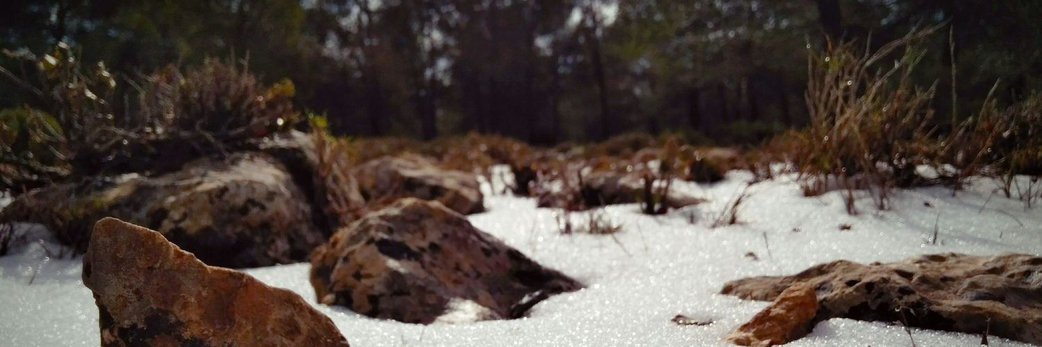 vicasman_'s profile banner image