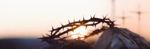 Trencheswizzard banner