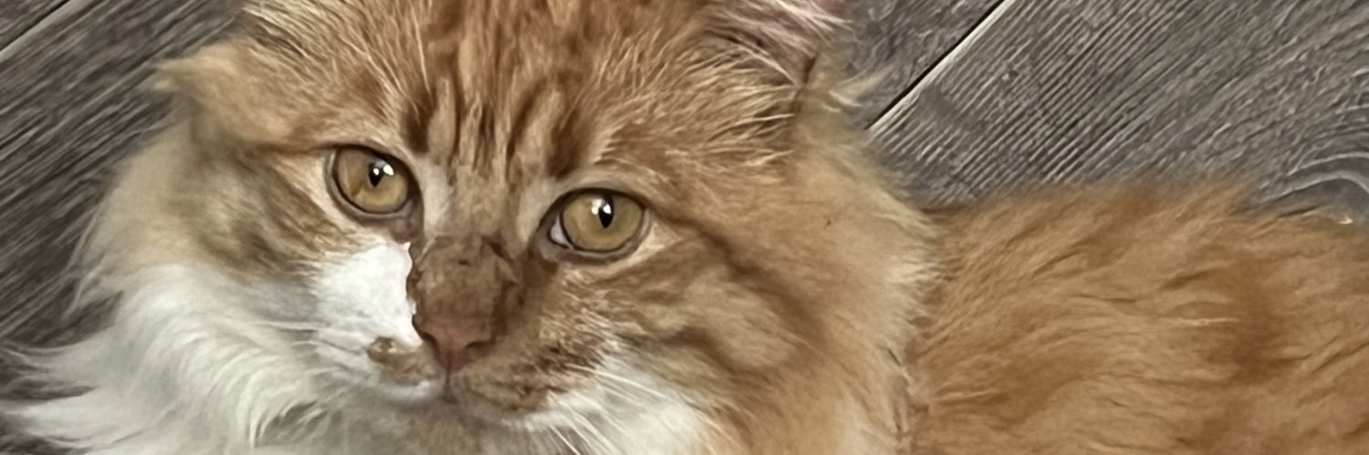 mandy166's profile banner image