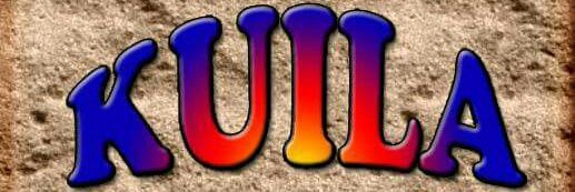 Team_Allyz's profile banner image