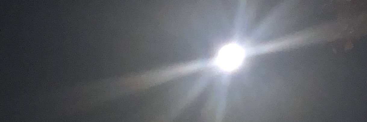 Christine Ann banner