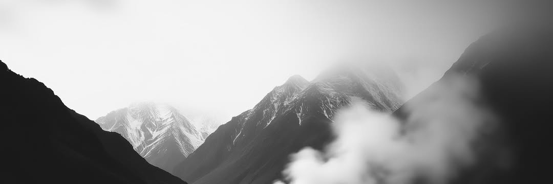 Brandifyit banner