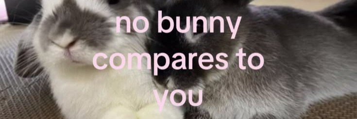 crrybabys_'s profile banner image