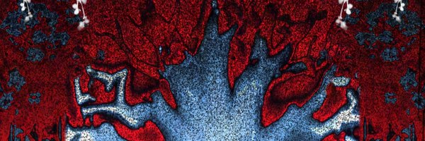 SPRAKLEZZ Profile Banner